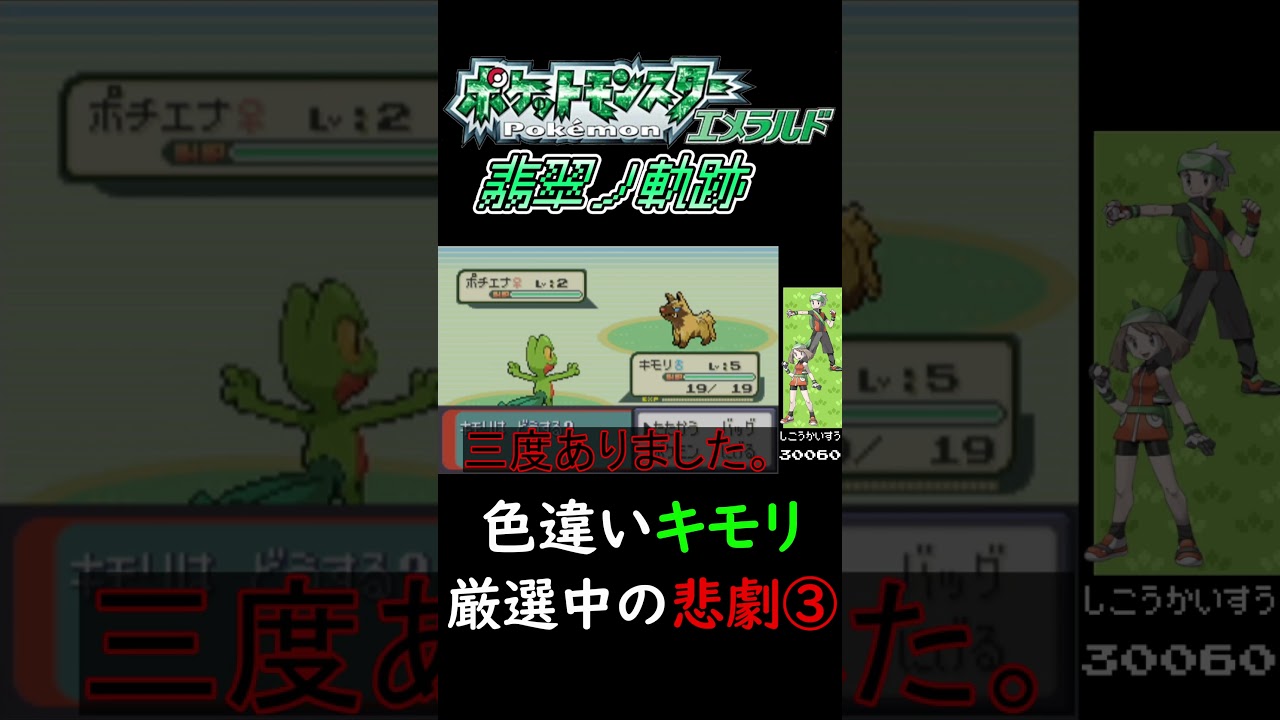 色違いキモリ厳選中の悲劇③