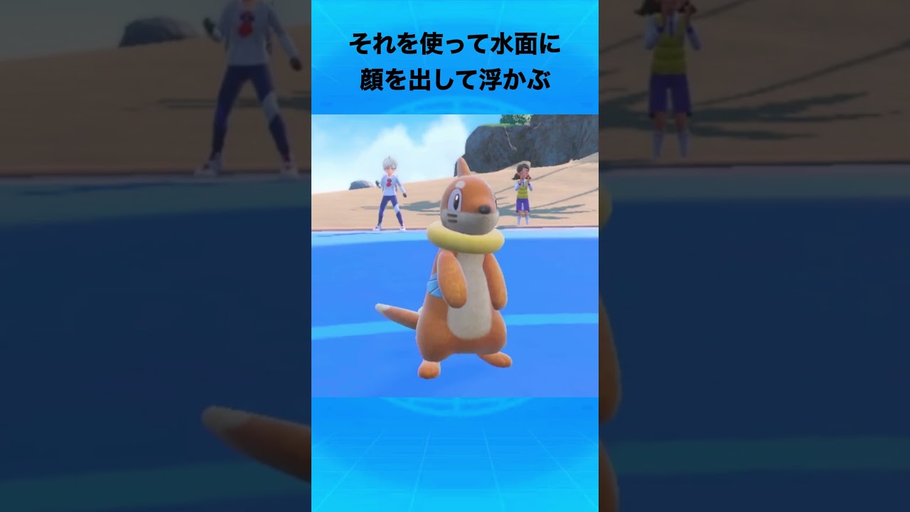 ブイゼルについて #ポケモン #ブイゼル #うみイタチ