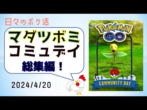 【感動！マダツボミ コミュデイの思い出総集編】色違い→厳選進化→アディショナルレイド #pokemongo #ポケモンgo #コミュニティデイ #色違い #shinypokemon
