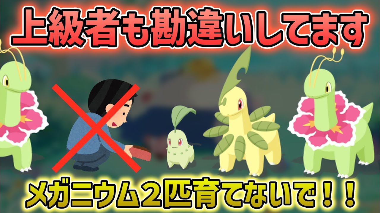 【ポケスリ】無課金・微課金がメガニウムを2匹育てるべきではない理由【徹底解説】