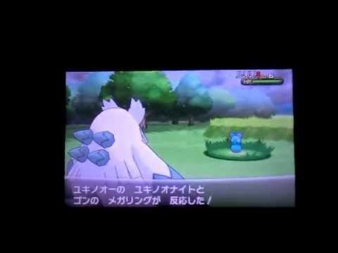 ポケモンXY メガユキノオー！ステータスなど紹介 Edwin DuBarrera