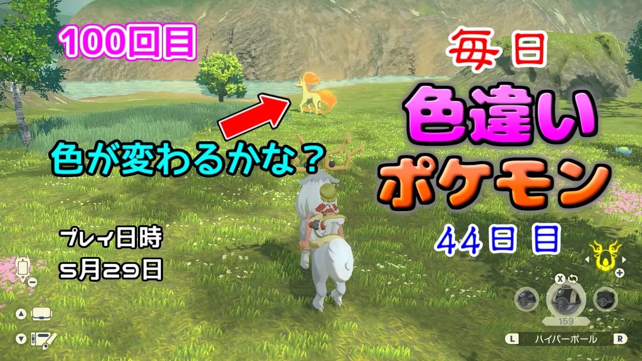 ギャロップオヤブンの色違い厳選してみたら、意外な色違いポケモンが出てきた【毎日色違いポケモン44日目】