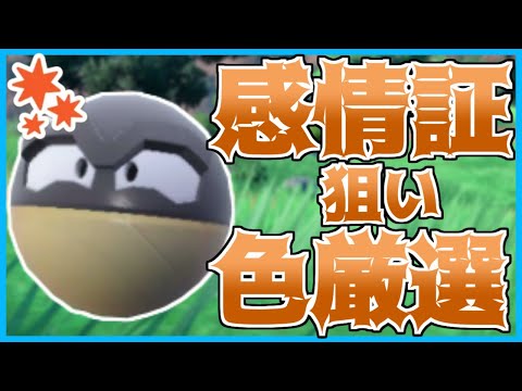 ヒスイビリリダマ大量発生色違い厳選！【ポケモンSV】【藍の円盤】