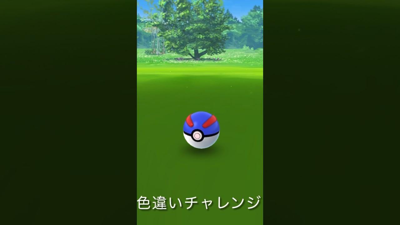 ポケモンGO ニャビー色違いチャレンジ　#ポケモン