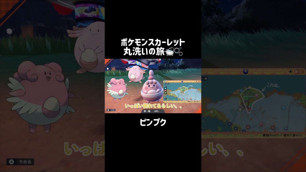 くるくる髪の赤ちゃんピンプクを洗うと...？👶💖 #ピンプク #Happiny #ポケモンsv #ポケモンスカーレット #ポケモン #pokemon #shorts
