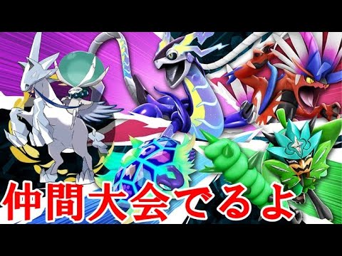 白バドレックスで仲間大会でるよ【ポケモンSV】