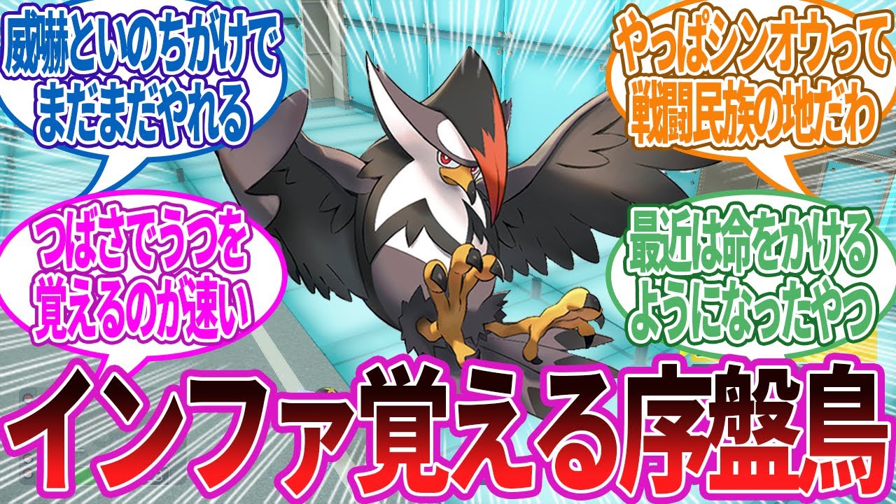 【戦闘民族シンオウ】ムクホークって最高に可能性を感じる鳥ポケモンだよねに対する反応集【ポケモン反応】