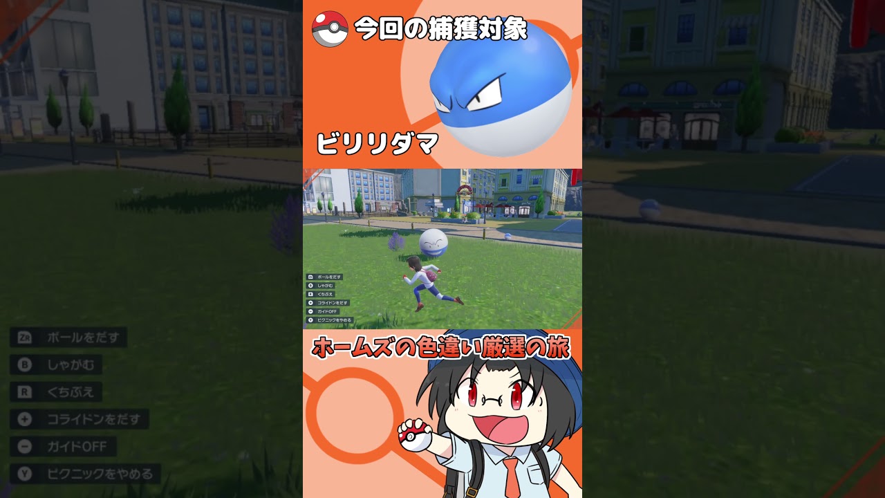 色違い厳選の旅「ビリリダマ」