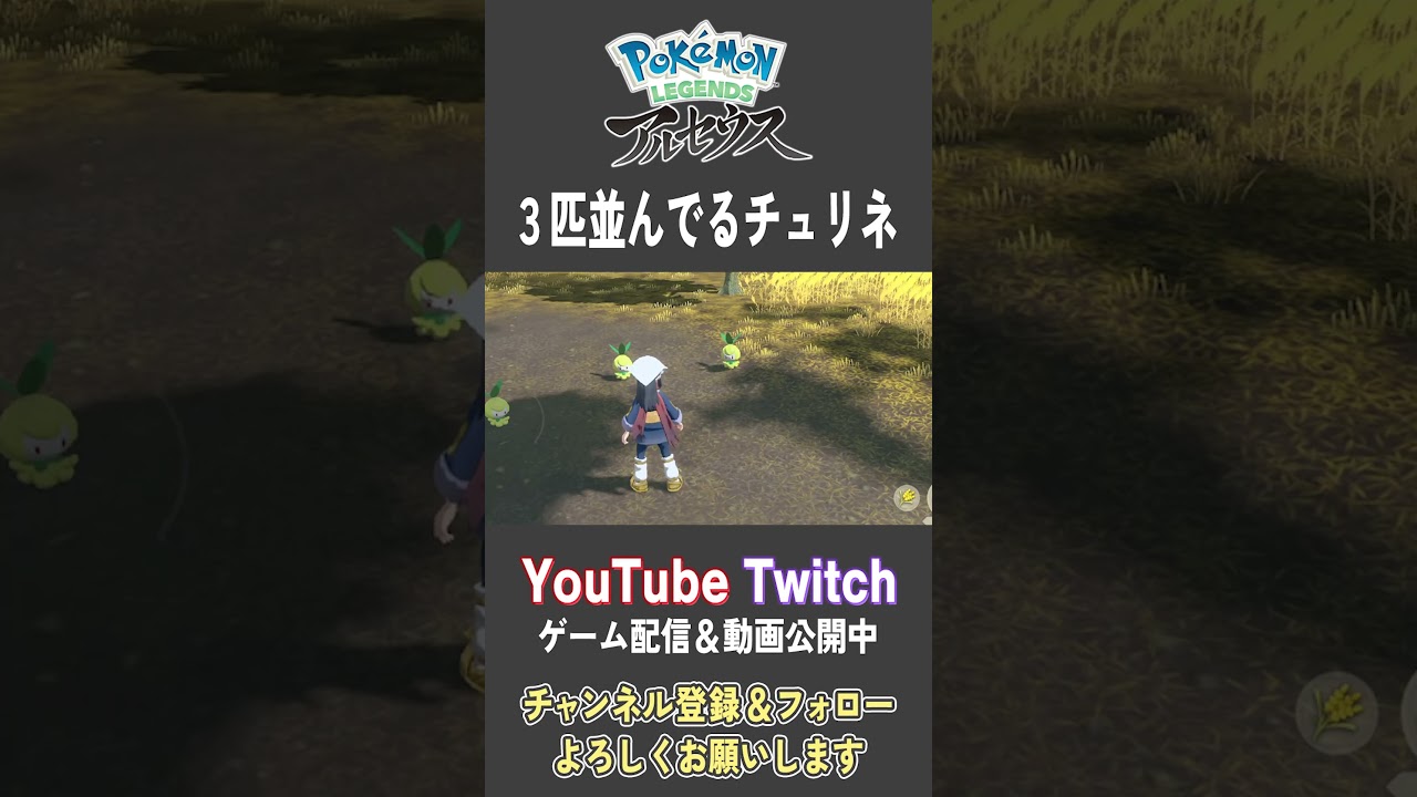 3匹並んでるチュリネ【Pokemon LEGENDS アルセウス】【#Shorts】【#129】