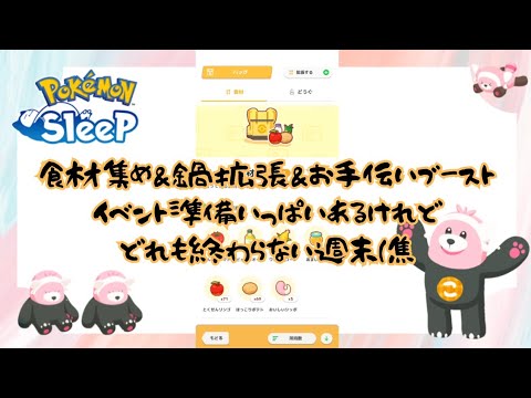 【ポケモンスリープ】こっこおばちゃんの睡眠リサーチ記録 275.6日目