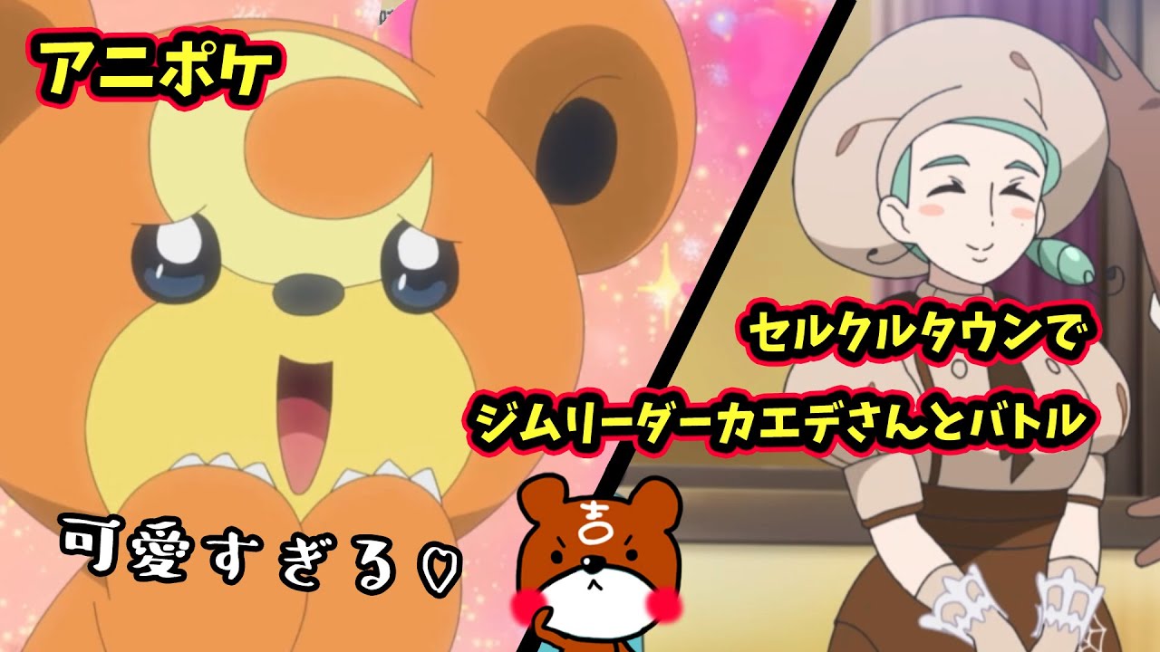 【アニポケ】47話はセルクルタウンでジムリーダーカエデさんとバトル！ヒメグマが大活躍！？ポケモンスカーレットバイオレット