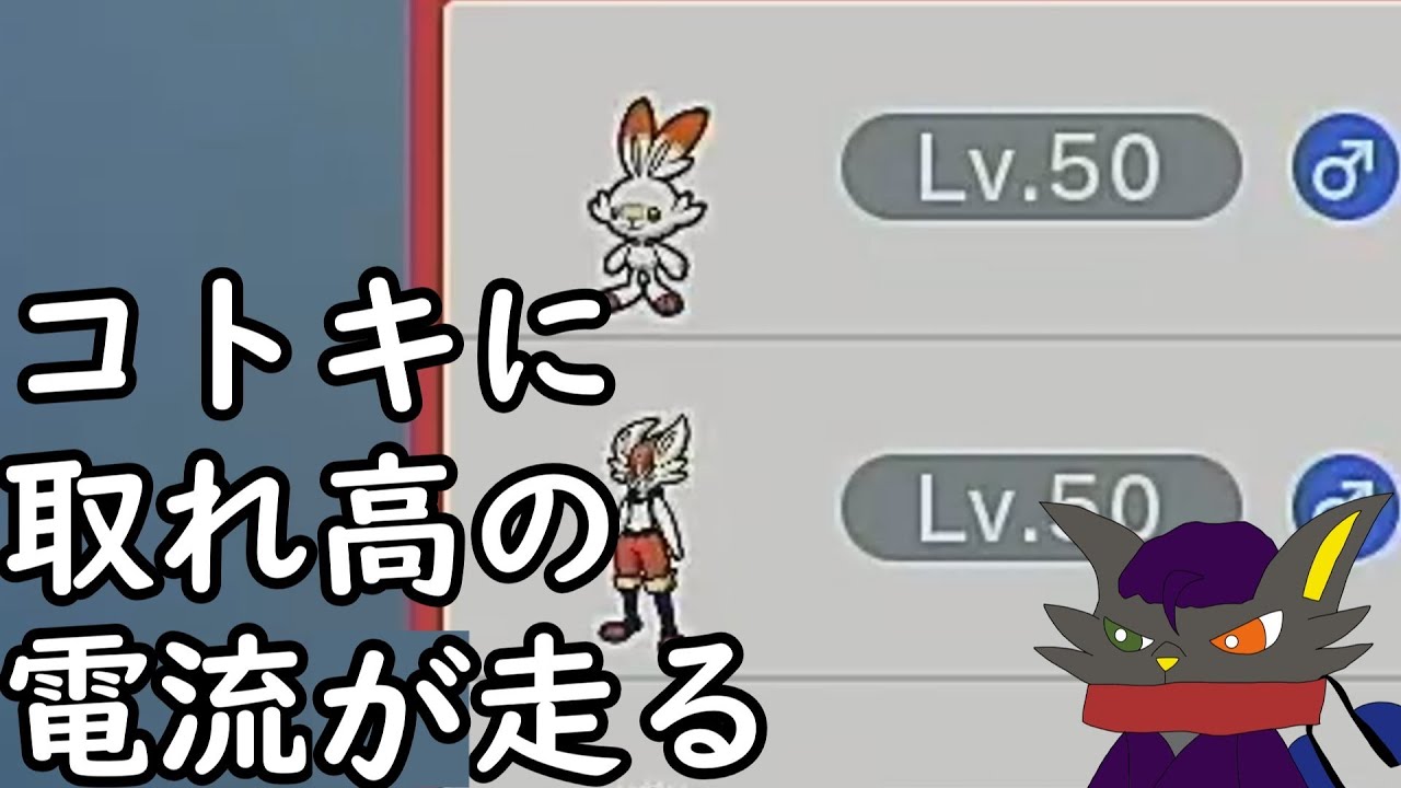【ゆっくり実況】ヒバニーVSラビフット　そして投げ飛ばすコトキ【ポケモンSV】#ラビフット #ポケモン