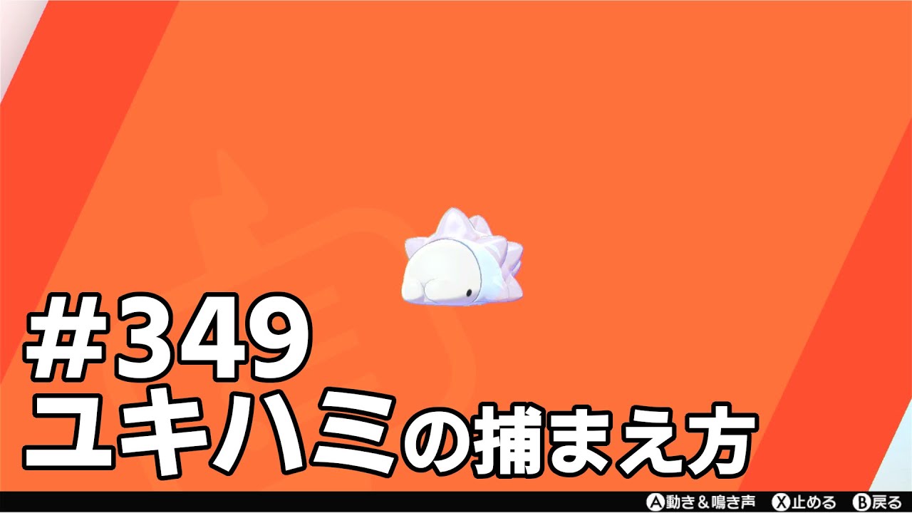 ユキハミを探している方に見てほしい動画