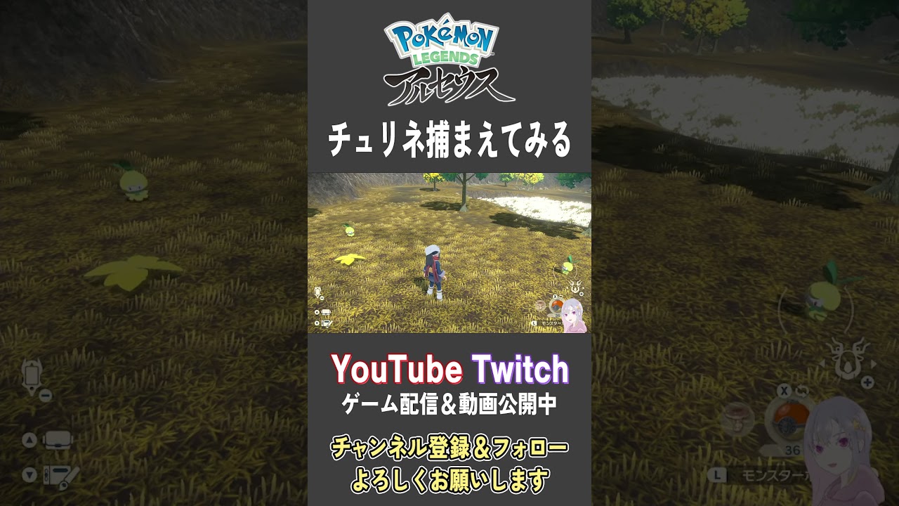 チュリネ捕まえてみる【Pokemon LEGENDS アルセウス】【#Shorts】【#128】
