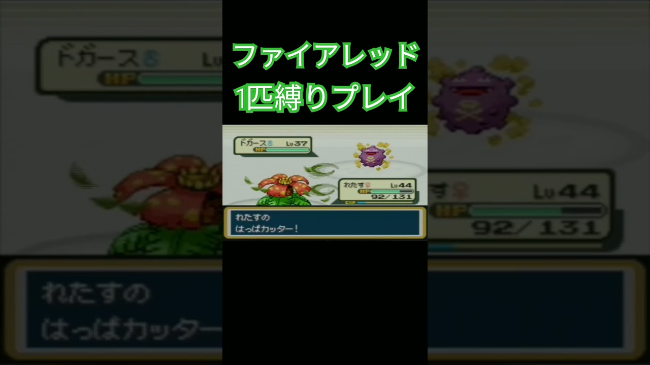 【ファイアレッド】ポケモン1匹縛りプレイ!!フシギダネver【縛りプレイ】#ポケモンファイアレッド #縛りプレイ #フシギダネ #フシギソウ #フシギバナ #ゲーム実況
