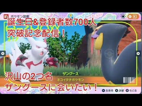 【ポケモンＳＶ】自分に誕生日プレゼント！？たくさんの二つ名ザングースに会いたい！（耐久）