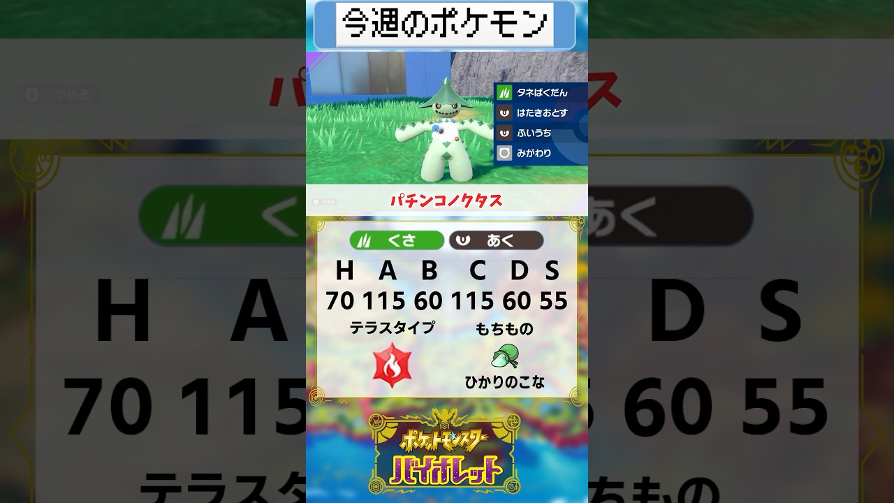 継続率72%実質最強ノクタス #ポケモン #ポケモンsv #ランターン大好きちゃんねる