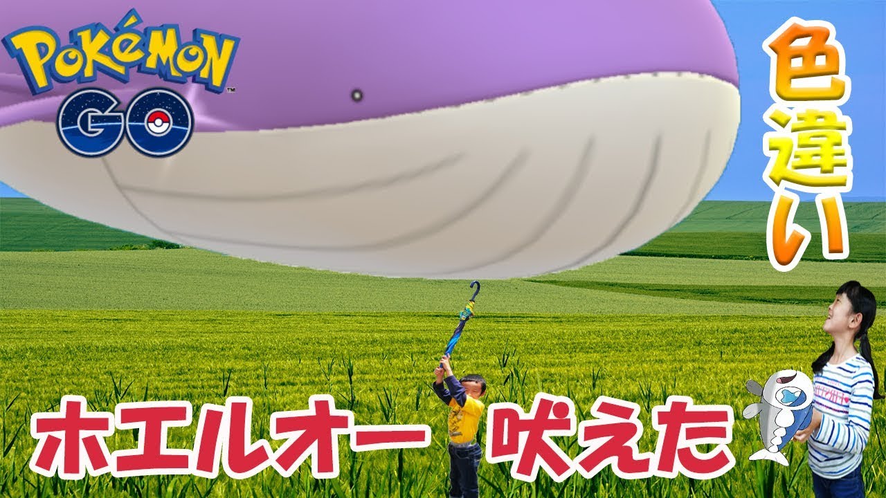 【ポケモンGO】ミュウツーあやさんだけでゲットチャンス！色違いホエルオーへ進化編#95