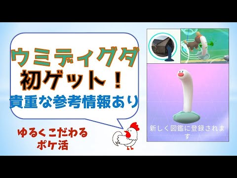 【ウミディグダ！待望の初ゲット】これから挑戦する方にお役立ち情報あり #pokemongo #ポケモンgo #ウミディグダ