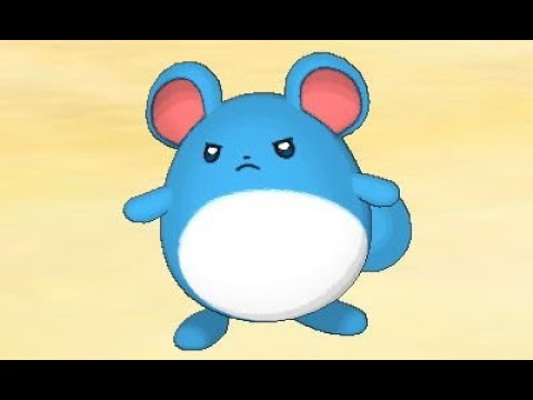 [マリル入り]ランクバトルやりまーーーーす！！