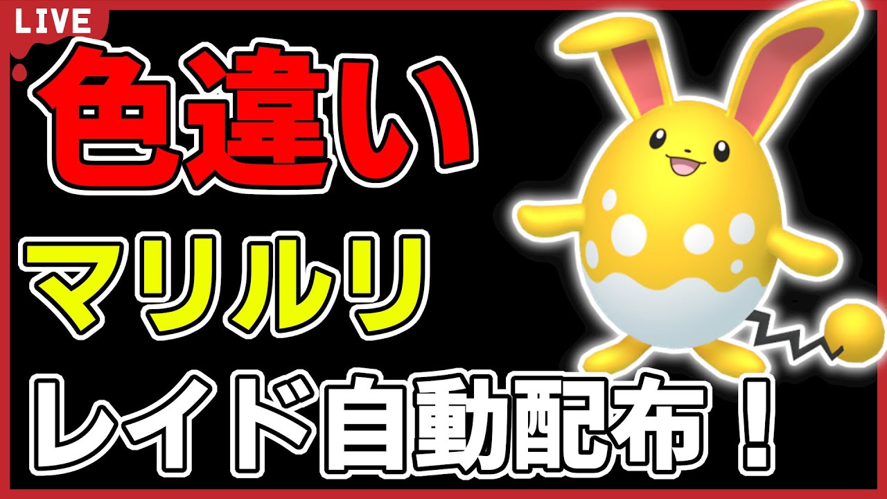 【ワンパン最速】色違いマリルリレイド自動配布！【ポケモンSV】#6
