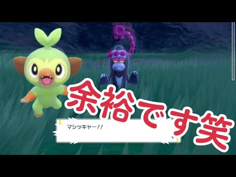 【ポケモンSV ゼロの秘宝】【番外編】マシマシラをサルノリ1レベルで挑んでみた笑#ゼロの秘宝 #ポケモンスカーレット#ポケットモンスター#藍の円盤#オーガポン