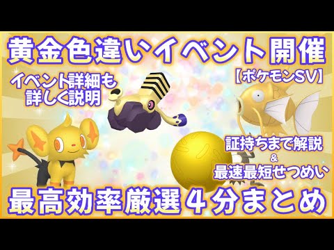 SV黄金色違いイベ開催 最高効率厳選4分まとめ #ポケモンsv #最高効率 #色違い #コイキング ＃シガロコ #コリンク #ブロロン #大量発生 #イベント