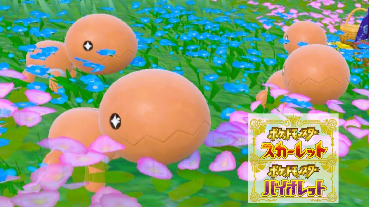 ナックラー６匹に囲まれて癒されピクニック【ポケモンSV】