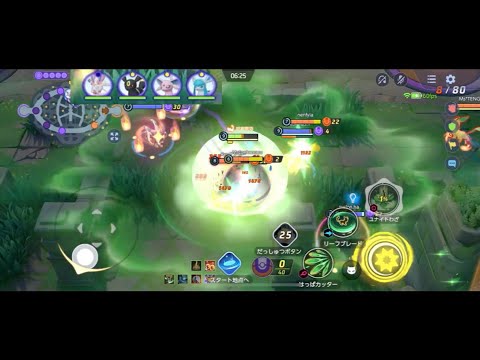 封印されし5匹のブイズ