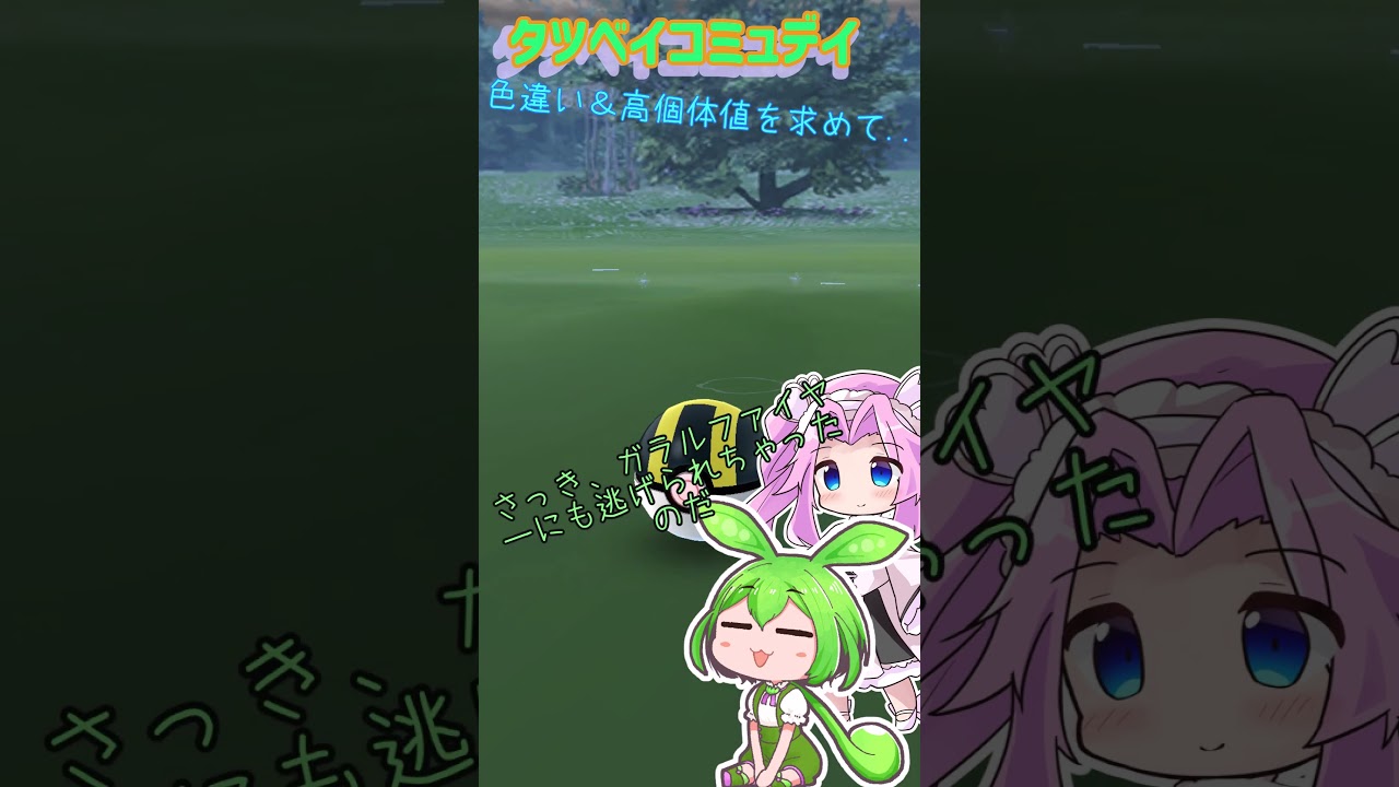【ポケモンGO】タツベイ コミュデイ 遊んできたのだ【PokémonGO】 #shorts #ポケモンgo #pokemongo #voicevox  #ずんだもん #四国めたん #タツベイ