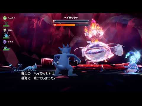 ポケモンSV／星6ヘイラッシャレイド対策④　HBゴルダック（挑発、冷や水、ノーてんき）