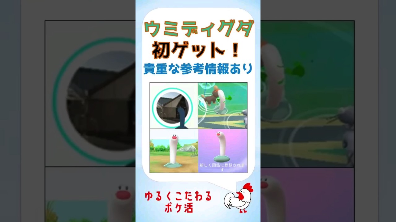【感激！ウミディグダ初ゲットs】海に行こう！動画末尾に、今回わかった攻略法のまとめ！ #pokemongo #ポケモンgo #ウミディグダ #攻略 #攻略法 #バイオーム