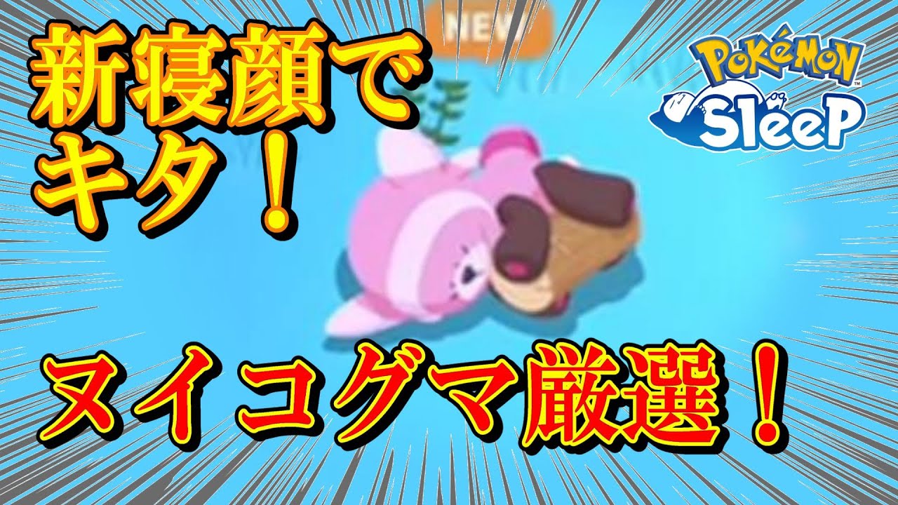 【無課金ポケスリ】GSDにやらかしたあああっ！！けど、ヌイコグマは来てた！！【ポケモンスリープ】