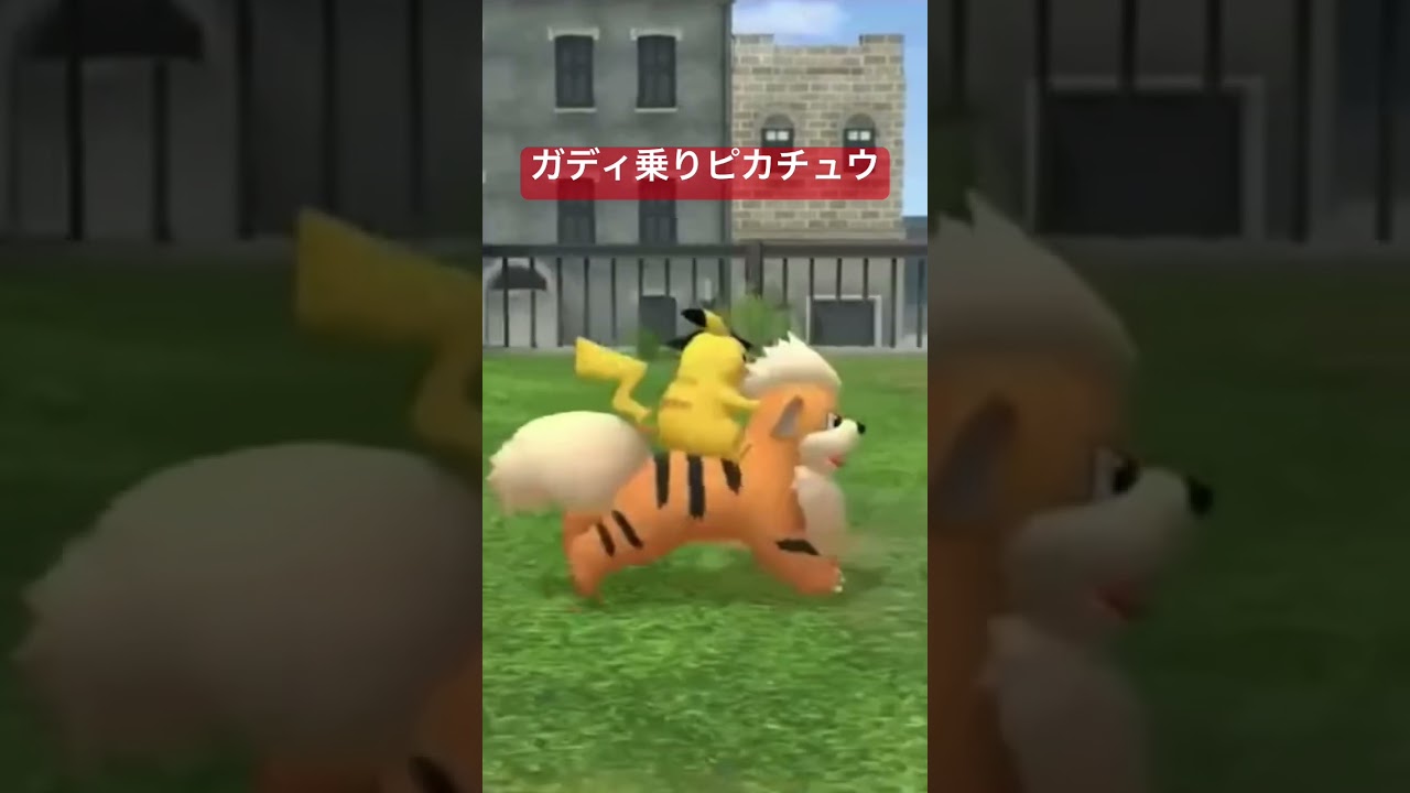【帰ってきた名探偵ピカチュウ/切り抜き】ガーディで駆け回るピカチュウ【一二三みくり】#shorts