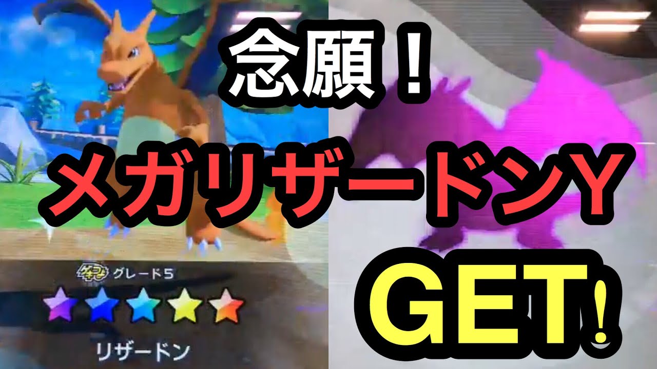 メガリザードンYついにGET! ポケモンガオーレダッシュ2弾！