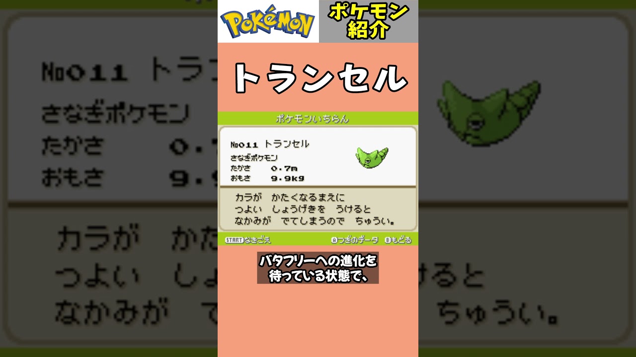 「トランセル」ポケモン紹介 #任天堂 #ポケットモンスター #shorts