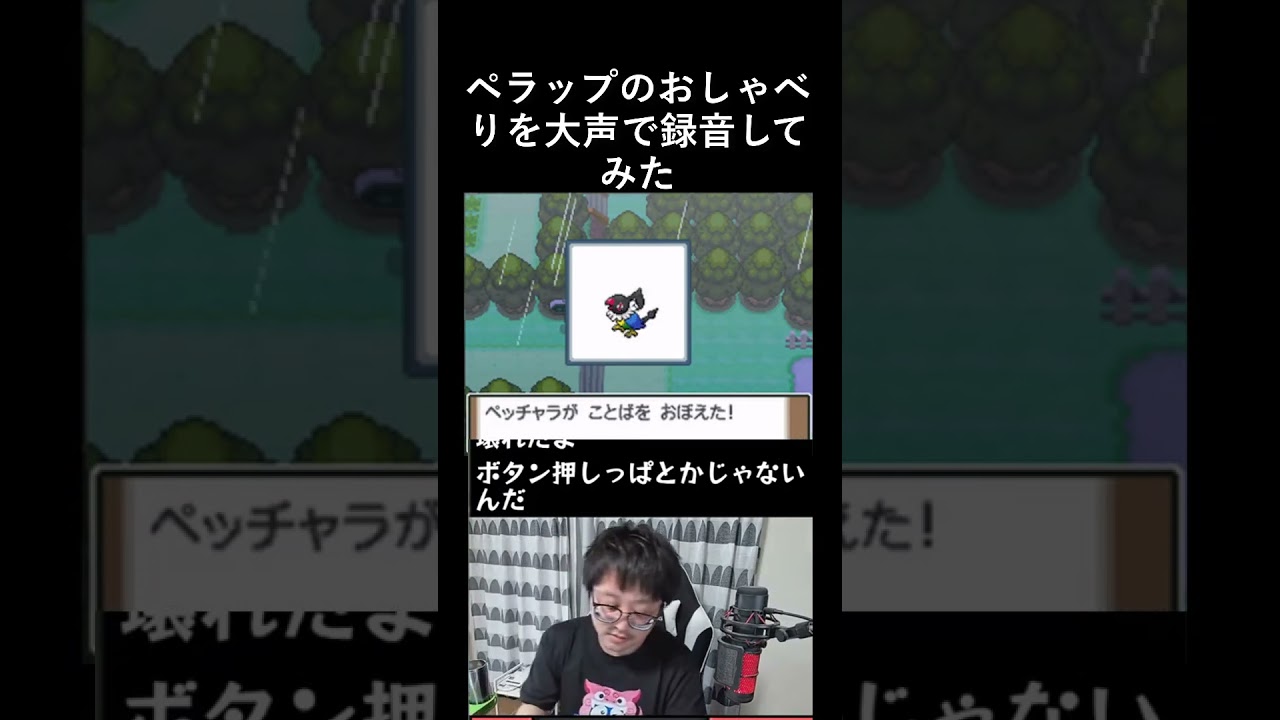 ペラップのおしゃべりで100％混乱させる音量で録音してみた #shorts