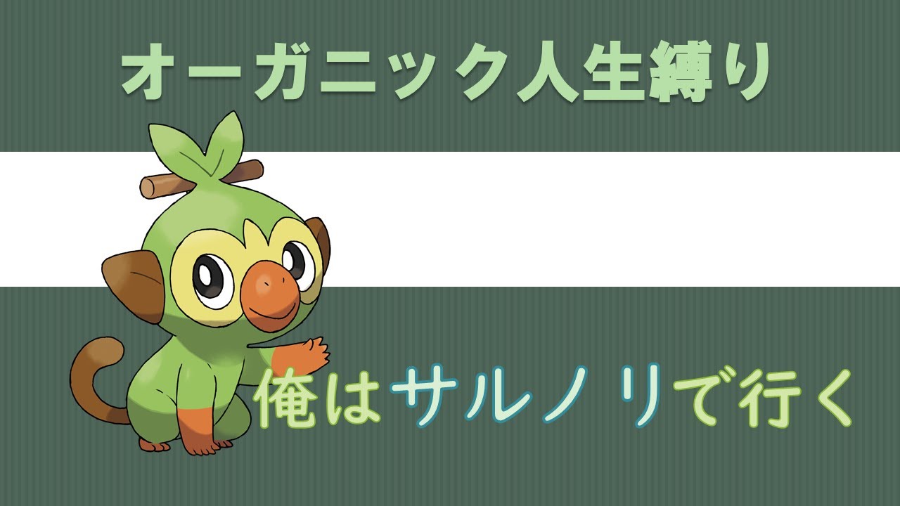 【剣盾】オーガニック人生縛り サルノリ編  #２
