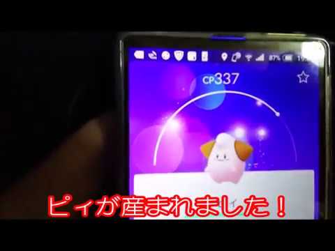 ポケモンgo たまごから、ピィがうまれた
