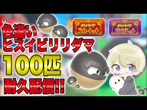 【ポケモンSV】色違いヒスイビリリダマ100匹ゲットするまで耐久配信！大量発生イベント！