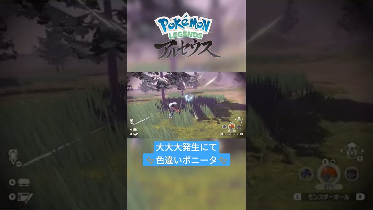 【色違い】Pokémon LEGENDS アルセウス『ポニータ』大大大発生にて色違い✨ #shorts