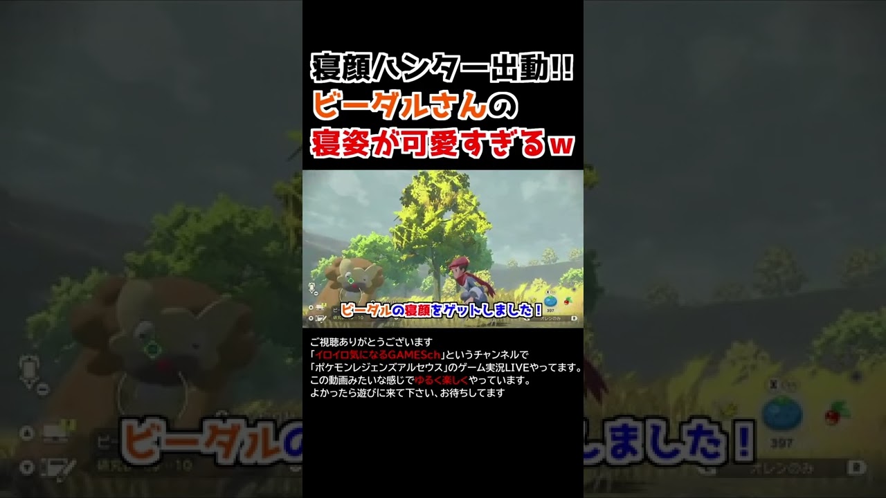 ビーダルさんの「寝姿」が可愛すぎるww【Pokémon LEGENDS アルセウス】【寝顔ハンター】
