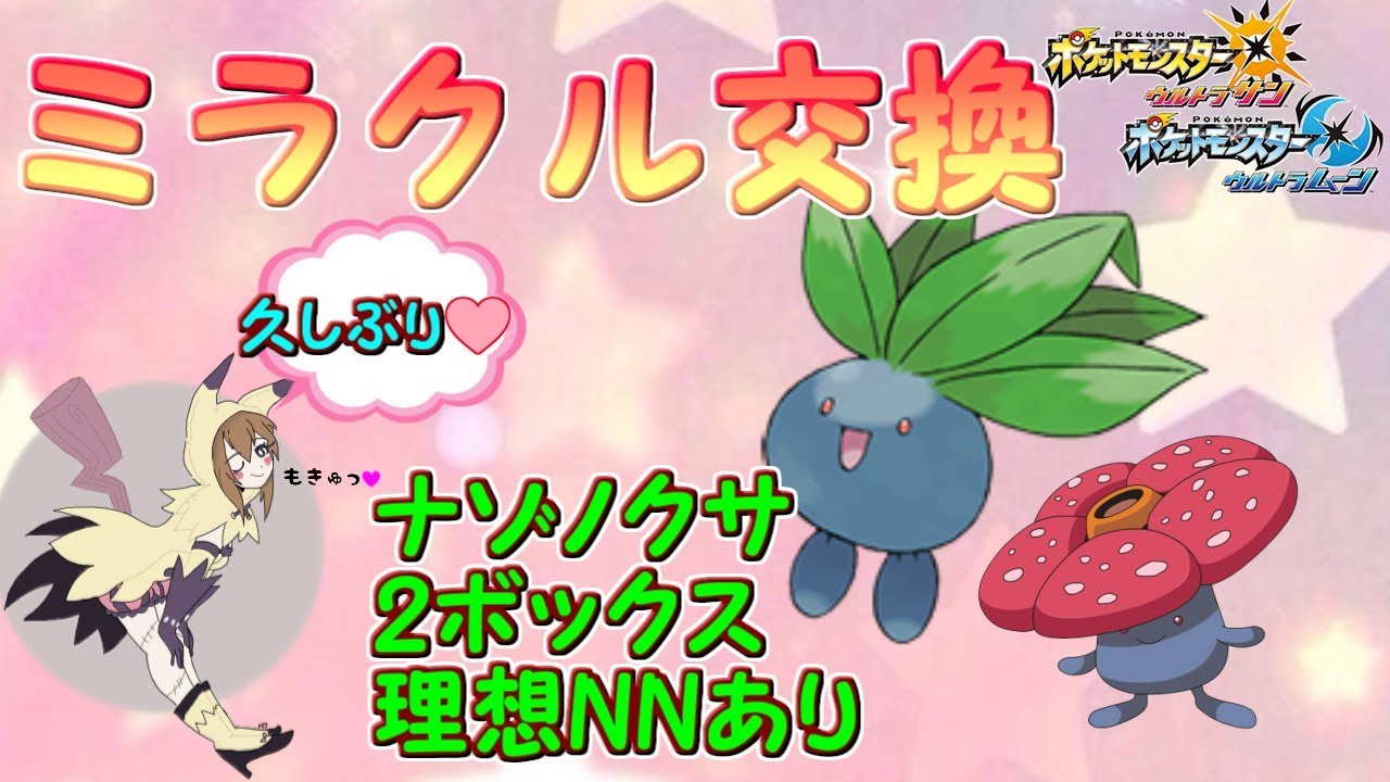 【ポケモンUSUM】ミラクル交換2boxナゾノクサ理想個体あり【女性実況】【初見さん歓迎】