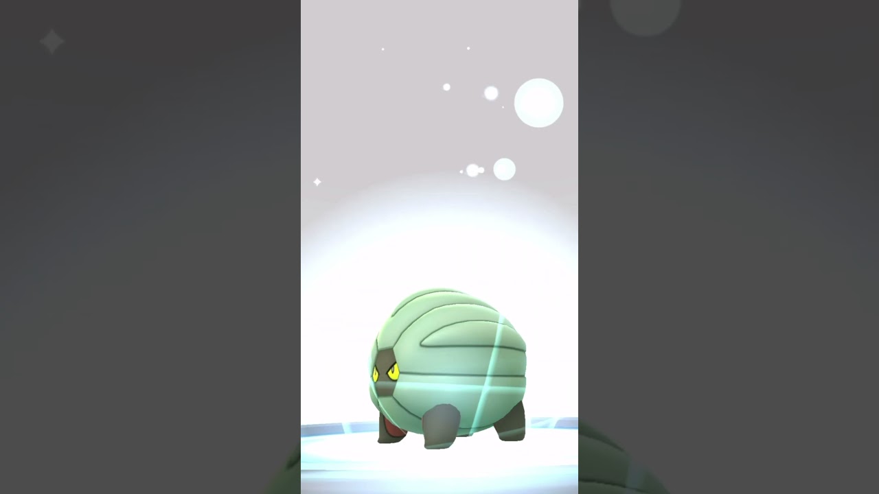 【ポケモンGO】色違いタツベイ➡︎ボーマンダ【コミュデイ2024年4月復刻】 #shorts