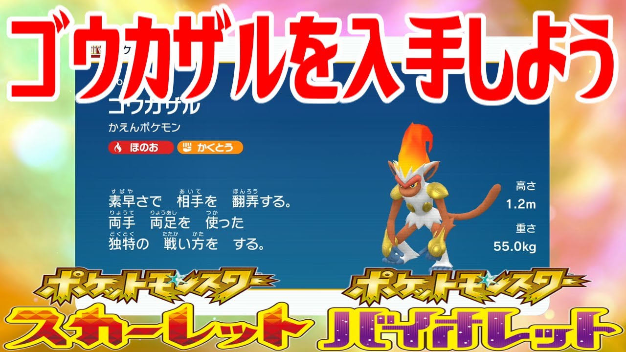 【ポケモンSV】ゴウカザルを入手しよう 進化入手【ポケットモンスター スカーレット・バイオレット ゼロの秘宝 藍の円盤】Pocket Monsters