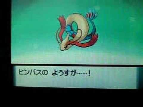 ポケモン「驚愕の映像！ヒンバスからミロカロスに進化！」