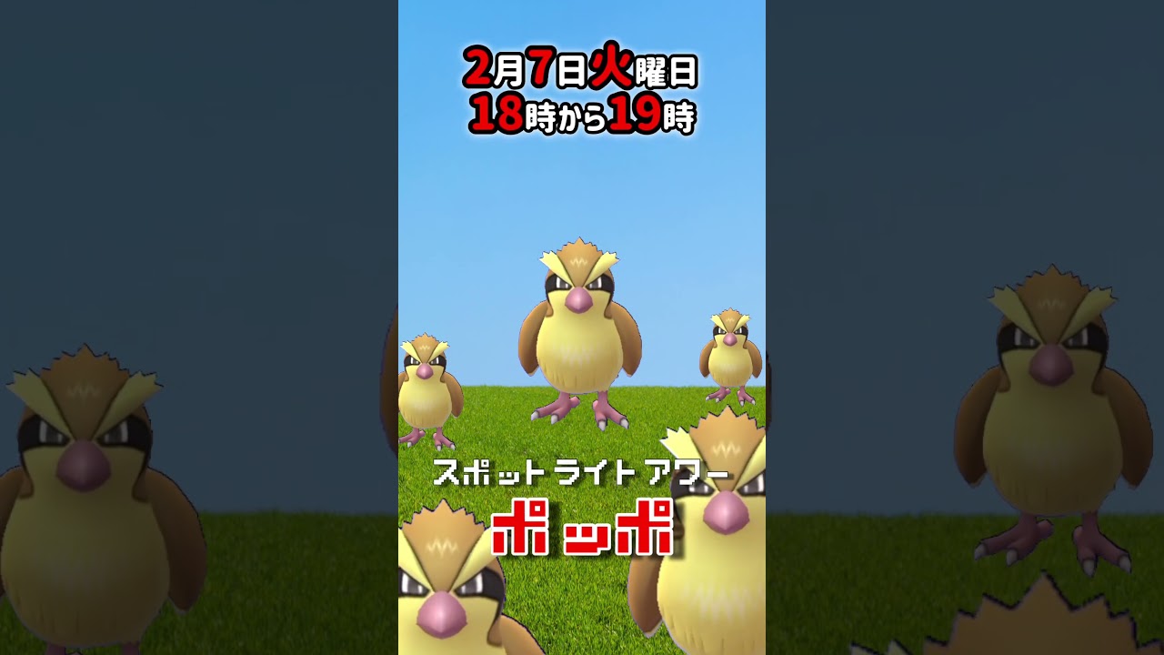 【大量発生】ポッポ！（色違いあり！）が大発生！スポットライトアワー！【ポケモンGO】