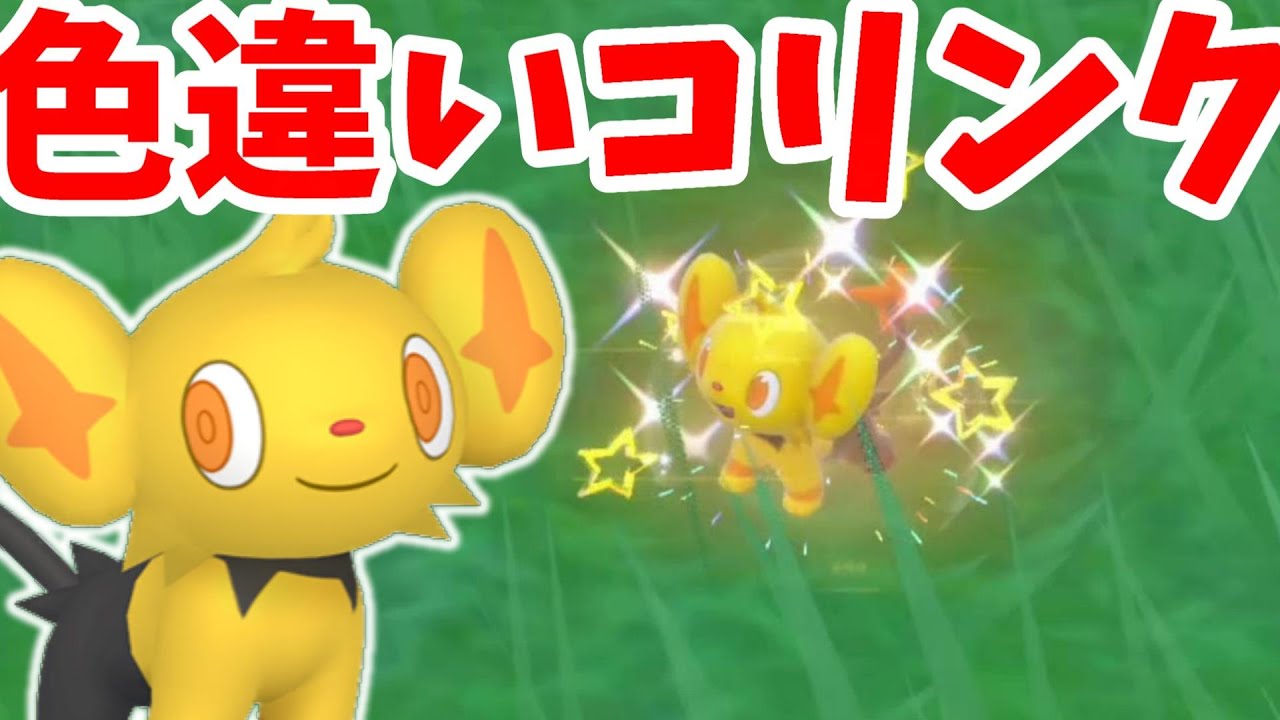 【ポケモンSV】コリンクの色違いは何匹出る！？色違いを入手しやすい限定イベント！【ポケモンスカーレットバイオレット・ゼロの秘宝】