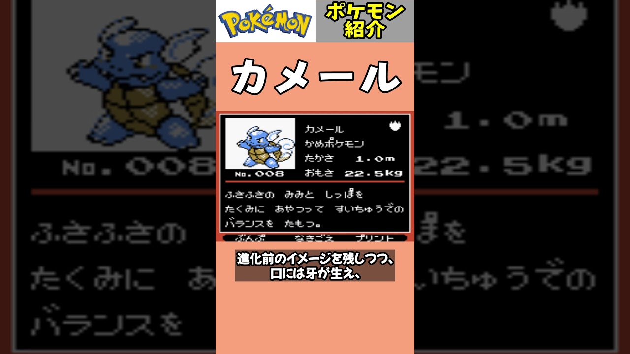 「カメール」ポケモン紹介 #任天堂 #ポケットモンスター #shorts