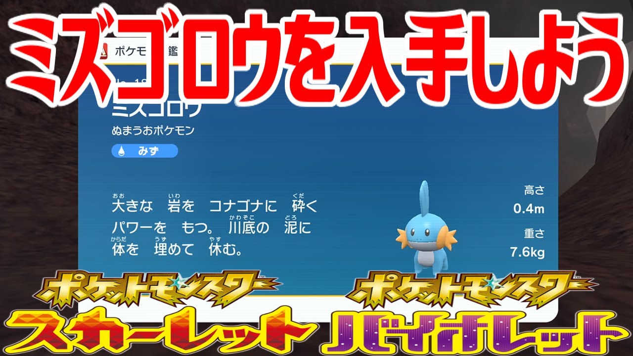 【ポケモンSV】ミズゴロウを入手しよう【ポケットモンスター スカーレット・バイオレット ゼロの秘宝 藍の円盤】Pocket Monsters